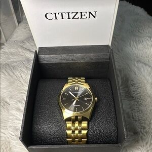 Citizen Gold Timepiece with Black Face